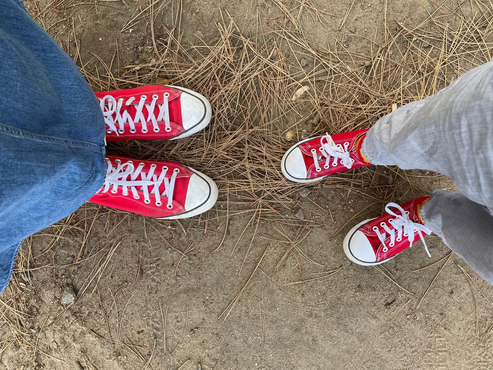 Здійсніть сімейний похід і насолодіться