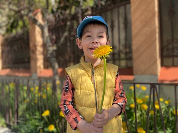 Врятуйте кульбабу і бджіл